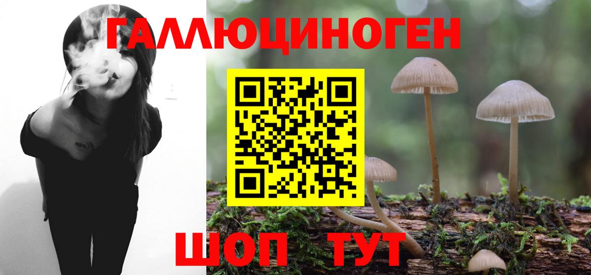 Галлюциногенные грибы Psilocybine cubensis  Вход с VPN  Артёмовский 